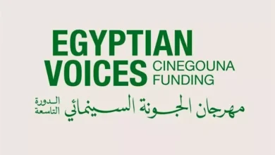 مهرجان الجونة السينمائي يطلق برنامج دعم جديد للأفلام المصرية