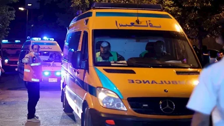 موظف يقتل أسرة كاملة تضم طفلين في حادثة على طريق السخنة