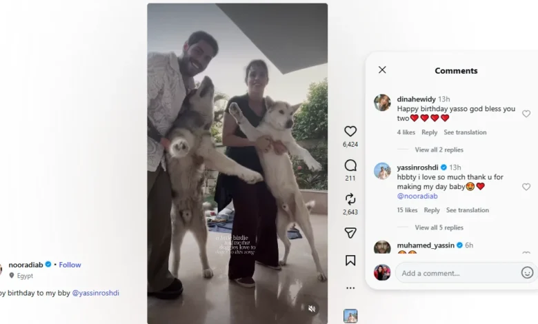 نور عمرو دياب تحتفل بعيد ميلاد ياسين رشدي على أنغام "سحلتني"