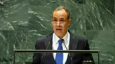 وزير الخارجية المصري يعرض رؤية البلاد حول تطورات المنطقة الحديثة 2 وزير الخارجية المصري يعرض رؤية البلاد حول تطورات المنطقة الحديثة