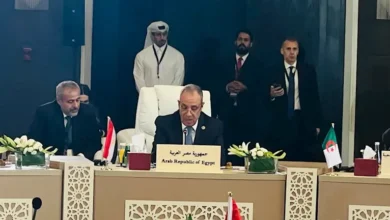 "وزير الخارجية: المنطقة تواجه مفترق طرق بين السلام والتصعيد"