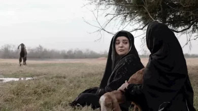 3 مشاريع سينمائية مدعومة من المورد الثقافي في مهرجان الجونة التاسع