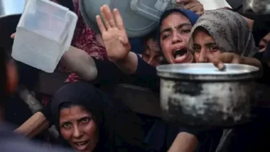 الأغذية العالمية: 900 ألف شخص في الضفة الغربية يواجهون انعدام الأمن الغذائي