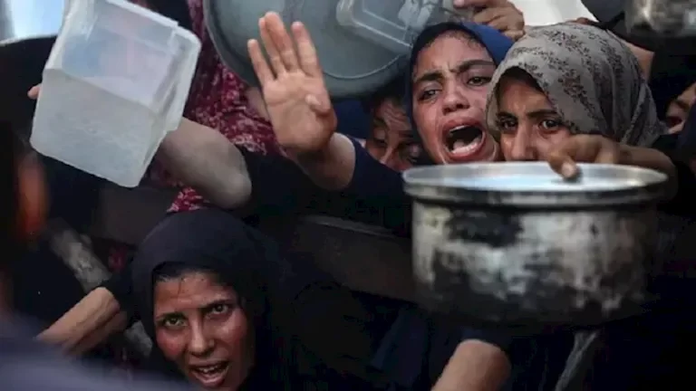 الأغذية العالمية: 900 ألف شخص في الضفة الغربية يواجهون انعدام الأمن الغذائي
