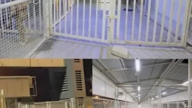 الإعلام الأمني: إغلاق منفذي الشيب والشلامجة ترتيب إداري وأمني