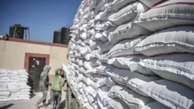 التجارة: العراق يحقق بدائل لتسهيل الحركة في هرمز وتعزيز أمنه الغذائي بأفضل صورة 2 التجارة: العراق يحقق بدائل لتسهيل الحركة في هرمز وتعزيز أمنه الغذائي بأفضل صورة