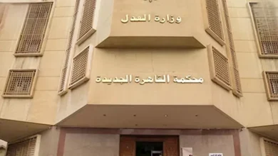 الحكم في قضية ناصر ماهر المعارض بتهمة التعدي على فرد أمن
