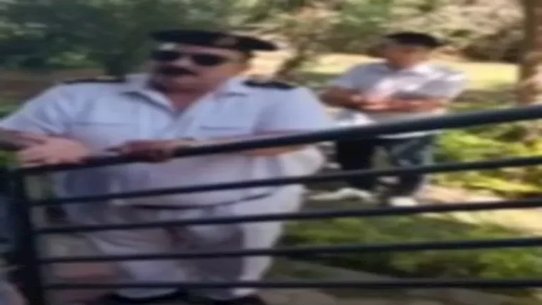 الداخلية تكشف حقيقة ادعاءات سيدة حول إزالة أشجار من حديقة أمام شقتها في منطقة بدر