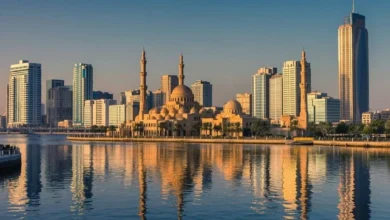 الشارقة تجذب 142 مشروعاً استثمارياً بقيمة 2.11 مليار دولار في 2025
