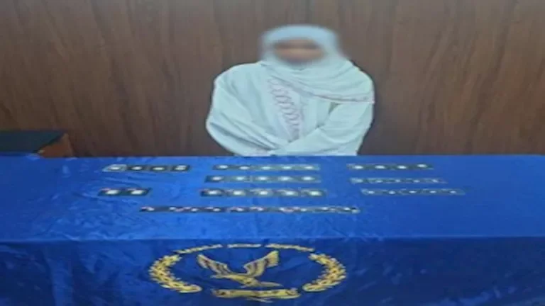 "القبض على سيدة سودانية بتهمة السرقة في بولاق الدكرور"