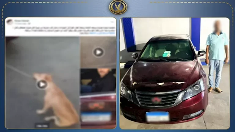 "القبض على شخص اعتدى على كلب في الإسكندرية بعد انتشار فيديو يوثق الحادثة"