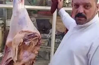 النجف الأشرف.. السجن 10 سنوات لبائع لحم الخنزير