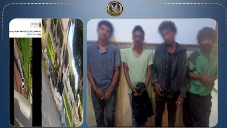 "تحويل حديقة الإسماعيلية إلى موقع لجمع الخردة: تفاصيل فيديو الجامعيين"