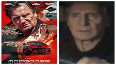 تسريب فيلم ليام نيسون الجديد "النمس" قبل شهر من عرضه في السينما