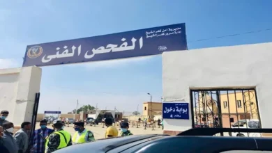 تكلفة ترخيص السيارة سنويًا في مصر بعد توجيه السيسي: إليك التفاصيل