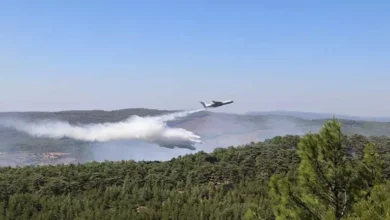 حرائق متزامنة في تركيا: جهود جوية وبرية لإخماد النيران