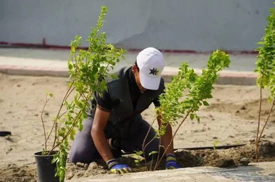خطة لتشجير العاصمة.. بغداد تستعد لزراعة 190 ألف شجرة وشجيرة في فصل الخريف