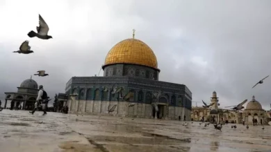 دائرة شؤون القدس: استهداف الاحتلال للبنية السكنية يهدف لتغيير الواقع الجغرافي