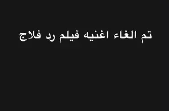 رامي صبري يكشف عن مصير أغنيته الدعائية لفيلم "ريد فلاج"