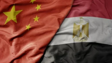 زيارة شي جين بينغ إلى القاهرة لتعزيز الشراكة الاقتصادية بين مصر والصين