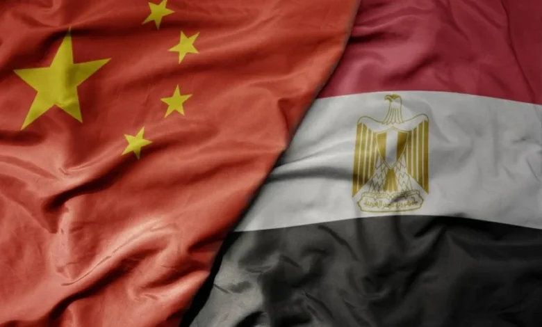 زيارة شي جين بينغ إلى القاهرة لتعزيز الشراكة الاقتصادية بين مصر والصين 1 زيارة شي جين بينغ إلى القاهرة لتعزيز الشراكة الاقتصادية بين مصر والصين