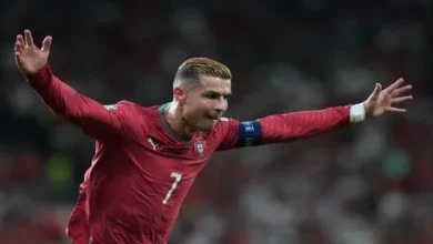 شاهد: هدف البرتغال القاتل في شباك ويلز يحقق الفوز للفريق