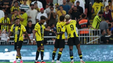 "شعار الدوري في المستقبل: هدف إلينيخينا "السينمائي" يترك بصمته في العقول"
