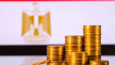 صندوق النقد الدولي: الاقتصاد المصري يتماسك أمام تحديات الحرب