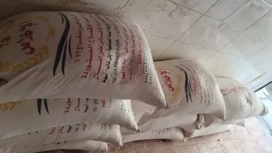 ضبط 18 طن من الدقيق خلال 24 ساعة في حملات تفتيش على المخابز والأسواق العراقية