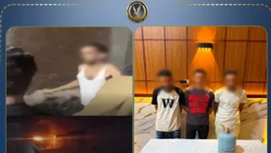 "ضبط 3 أشقاء في الشرقية بعد مشاجرة مع الجيران باستخدام ساطور وأنبوبة بوتاجاز"