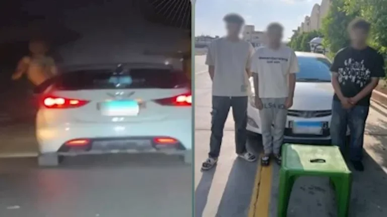 ضبط 3 طلاب في الغربية أثناء احتفالهم بحفل زفاف بسيارة بأداء استعراضي