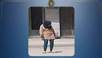 ضبط بطلة فيديو "نايمة وهي واقفة في الشارع" في العامرية تفاصيل الحادثة