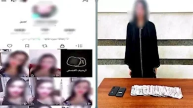 ضبط صانعة محتوى في الدقهلية لنشرها مقاطع رقص بملابس غير لائقة 2 ضبط صانعة محتوى في الدقهلية لنشرها مقاطع رقص بملابس غير لائقة
