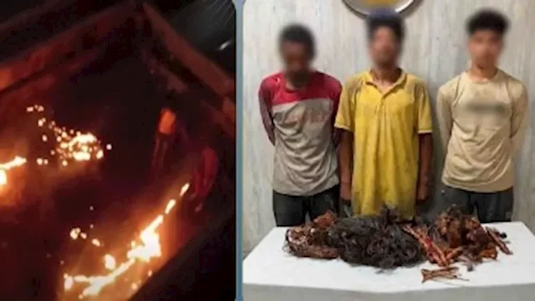 ضبط عاطلين أشعلا النيران في كابلات كهرباء بالجيزة بعد اكتشاف الجريمة عبر النيران