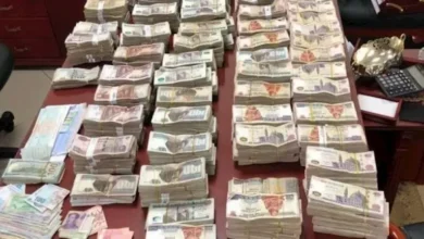 ضبط عنصر جنائي متورط في غسل 20 مليون جنيه من عائدات الهجرة غير الشرعية