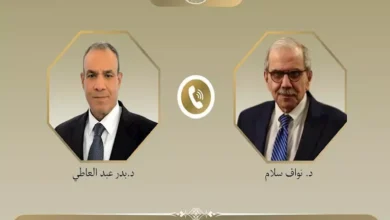 مباحثات مصرية لبنانية لتعزيز الدعم لبيروت وخفض التوترات الإقليمية