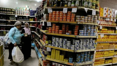 مبادرة خفض أسعار السلع في مصر 2026: التفاصيل وأماكن الشراء 3 مبادرة خفض أسعار السلع في مصر 2026: التفاصيل وأماكن الشراء