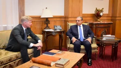 مصر تؤكد دعمها لاستقرار ووحدة الدولة اليمنية عبر وزير الخارجية