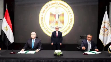 مصر تتجه نحو تصنيع بطاريات السيارات مع شراكة مرتقبة بين منصور وTianneng