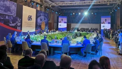 مصر تحتفل بذكرى إطلاق "عدم الانحياز": الحياد لا يعني تجاهل التحديات الدولية