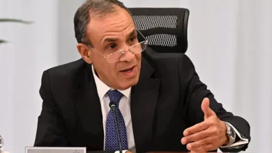 مصر تحقق تقدمًا في ملف الهجرة وتدعو لتعاون دولي فعال