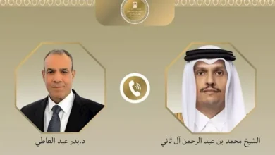 مصر ترفض استخدام الممرات والمضايق كأداة للضغط والمساومة حسب وزير الخارجية