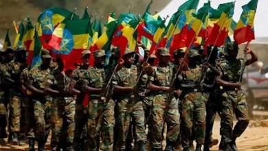 مقاتلو تيجراي يستولون على مطار ميكيلي في عاصمة إقليم تيغراي الإثيوبي