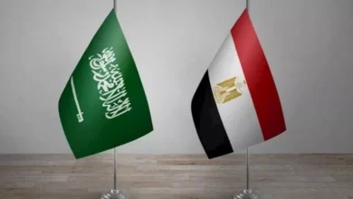 وزراء خارجية مصر والسعودية يؤكدون أهمية تنفيذ حل الدولتين