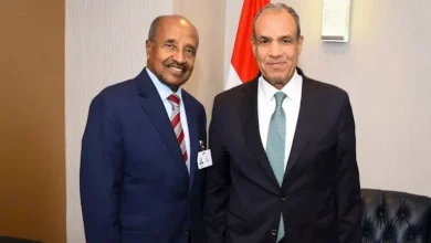 وزير الخارجية المصري والإريتري يناقشان أمن البحر الأحمر وتطورات المنطقة