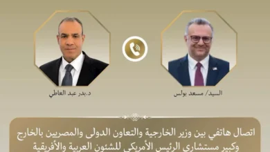 وزير الخارجية المصري يؤكد التزام مصر بوحدة السودان
