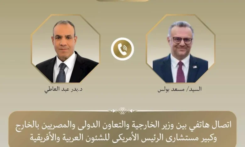 وزير الخارجية المصري يؤكد التزام مصر بوحدة السودان