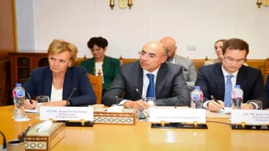 وزير الخارجية المصري يرفض مقترحات إقامة معسكرات للاجئين في البلاد