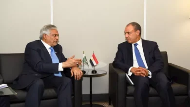 وزير الخارجية: تفعيل مجلس الأعمال المصري الباكستاني يعزز الاستثمارات في مصر