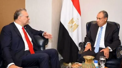 وزير الخارجية يؤكد: الحوار والتفاوض هما السبيل لإنهاء النزاع في السودان